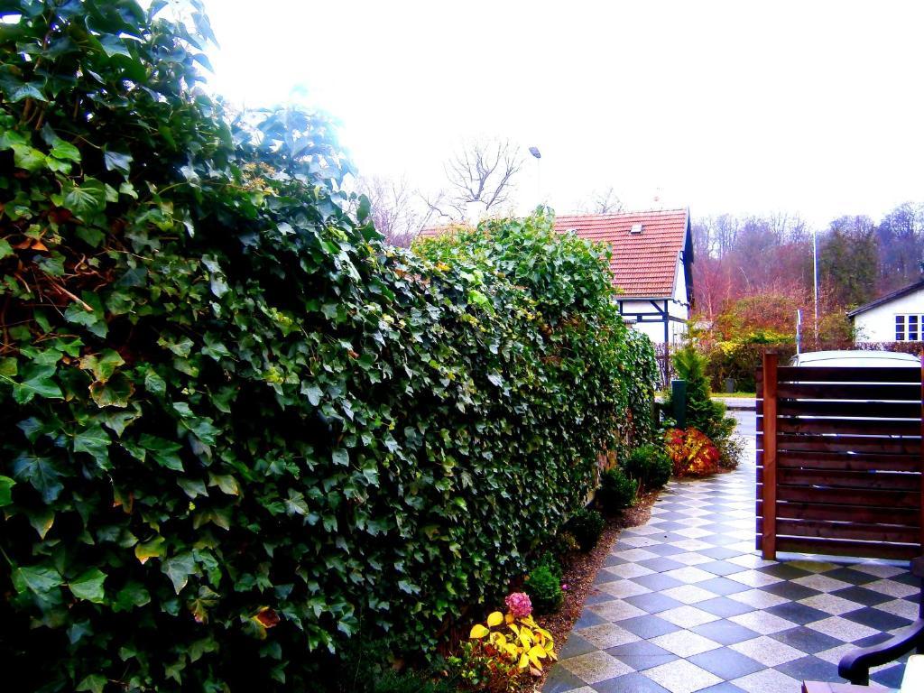Helsingor Bed & Breakfast المظهر الخارجي الصورة